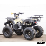 Квадроцикл STALKER 250