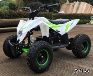 Детский электро квадроцикл MOTAX GEKKON 1300W