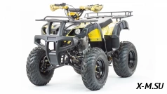 Квадроцикл PROMAX ATV 300
