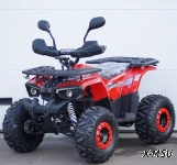 Электроквадроцикл SHERHAN 1000 CHAMPION