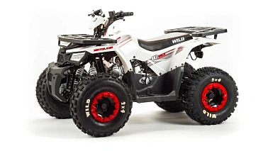 Квадроцикл MOTOLAND (МОТОЛЕНД) 125 WILD