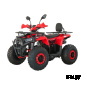 Квадроцикл JM-VS125X2 125 куб.см