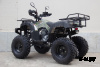 Квадроцикл UNIVERSAL Avenger 250 MECHANICS