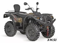 Квадроцикл Striker 700 EFI