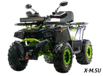 Квадроцикл MOTOLAND (МОТОЛЕНД)  VOX200 WILD TRACK X WINCH (баланс. вал)