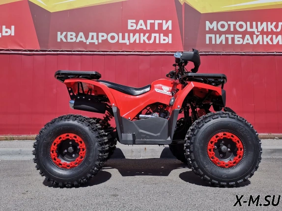 Квадроцикл PROMAX WILD 175 BASIC