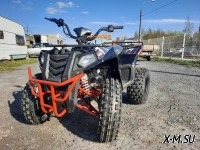 КВАДРОЦИКЛ RAPTOR MADMAN 200