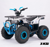 Квадроцикл  YACOTA SIRIUS 110			 			