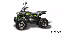 Квадроцикл MOTOLAND (МОТОЛЕНД) 125 WILD X PRO