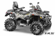 Квадроцикл STELS ATV800 (TE) ГЕПАРД 2.0 K02 EPS Tech