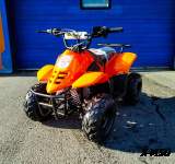 Квадроцикл RAPTOR 110