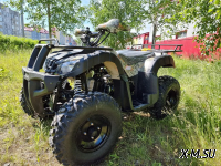 Квадроцикл PROMAX ATV 250 (2025)