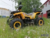 Квадроцикл PROMAX STORM 300сс LUX