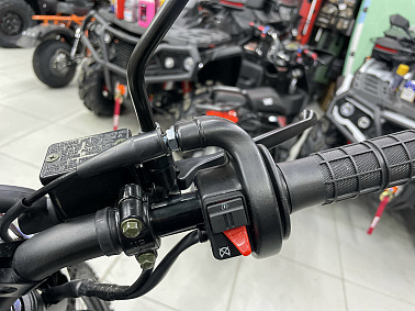 Мотоцикл Avantis LX 300 (CBS300/ZS174MN-3) ПТС АКЦИЯ