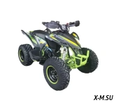 Квадроцикл RACER TYPHOON 250
