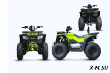 Квадроцикл Progasi RaceJumper 200SE