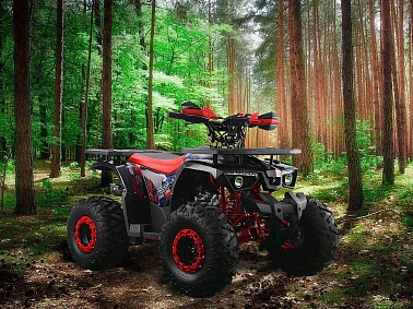 Квадроцикл PROMAX WILD 190 PRO-LINE