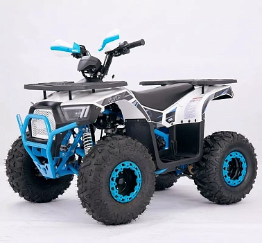 Квадроцикл  YACOTA SIRIUS 110			 			