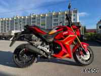 Мотоцикл PROMAX STRYKER 150(49) 2.0